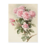 Vintage Victorian Romantic Roses Post Card