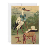 Vintage Victorian Stork Baby Shower