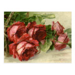 Vintage Victorian Valentine's Day Red Roses Post Cards