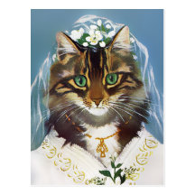 Vintage Wedding Cat Postcard