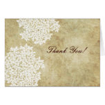 Vintage White Queen Ann's Lace Thank You Cards