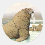 Vintage Wild Animal, Walrus Iceberg in the Arctic Round Sticker