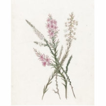 Vintage Wildflowers Pink Photo Sculpture