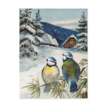 Vintage Winter Postcard With Birds