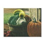 Vintage Winter Squash, Pumpkin and Apples Postcards