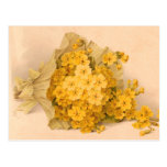 Vintage Yellow Flowers Vintage Postcard