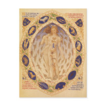 Vintage Zodiac Chart, 1416 Postcard