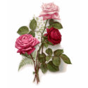 Vintages Roses T-shirt