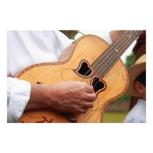 Viola da Terra Photo Print
