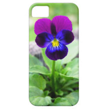 Viola iPhone 5 Case
