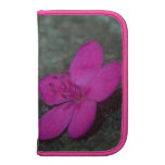 Vióla Folio Planners