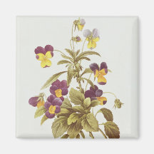 Viola Tricolour Magnets