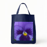 Violet Blue Pansy