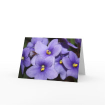 Violet Boquet