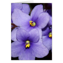Violet Boquet Greeting Cards