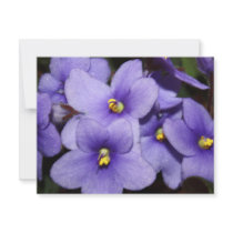 Violet Boquet