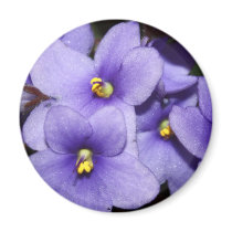 Violet Boquet