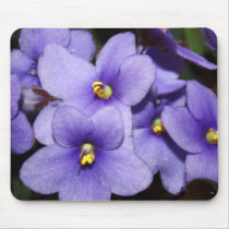 Violet Boquet