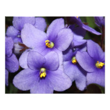 Violet Boquet Personalised Invitations