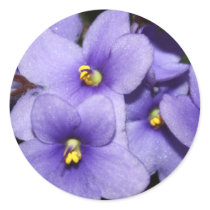 Violet Boquet