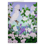 Violet Cockatoo cards