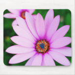 Violet daisy flower mousepads
