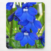 Violet Faces Mouse Pads