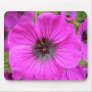violet flower