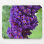 Violet Flower Mousepad