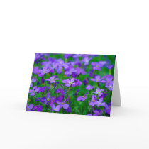 Violet Flowers Card