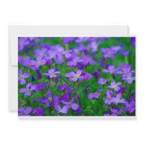 Violet Flowers Invitation