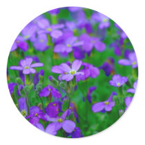 Violet Flowers Sticker