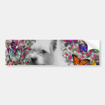 Violet in Butterflies – White Westie Dog Bumper Sticker