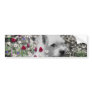 Violet in Flowers – White Westie in Blossoms Bumper Stickers