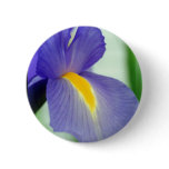 violet iris buttons
