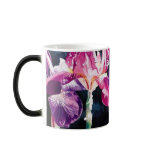 "Violet Iris" Floral Watercolor by Paul Jackson Mugs