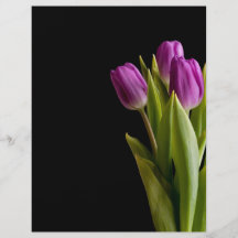 Violet tulips flyers