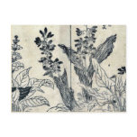 Violets and arrow arum by Tachibana,Yasukuni postcards