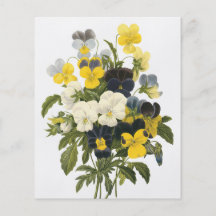 Violets and Pansy Flowers Botanical Art Full Colour Flyer