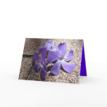 Violets for You Cards