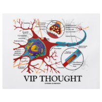 VIP Thought (Neuron / Synapse Humour)