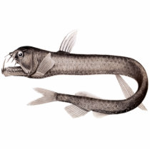 Viperfish Cutout Magnet/Sculpture