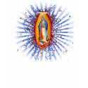 Virgen de Guadalupe v2 t-shirts