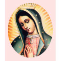 Virgin of Guadalupe t-shirts