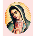 Virgin of Guadalupe t-shirts