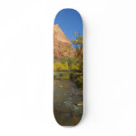 Virgin River In Zion Great Colours In The Fall The skateboards
