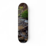 Virgin River Running Through Zion skateboards
