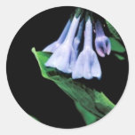 Virginia Bluebells Stickers