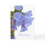 Virginia Bluebells Thank You Coordinated Item Cards