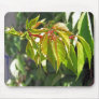 Virginia Creeper 1 Mouse Pad